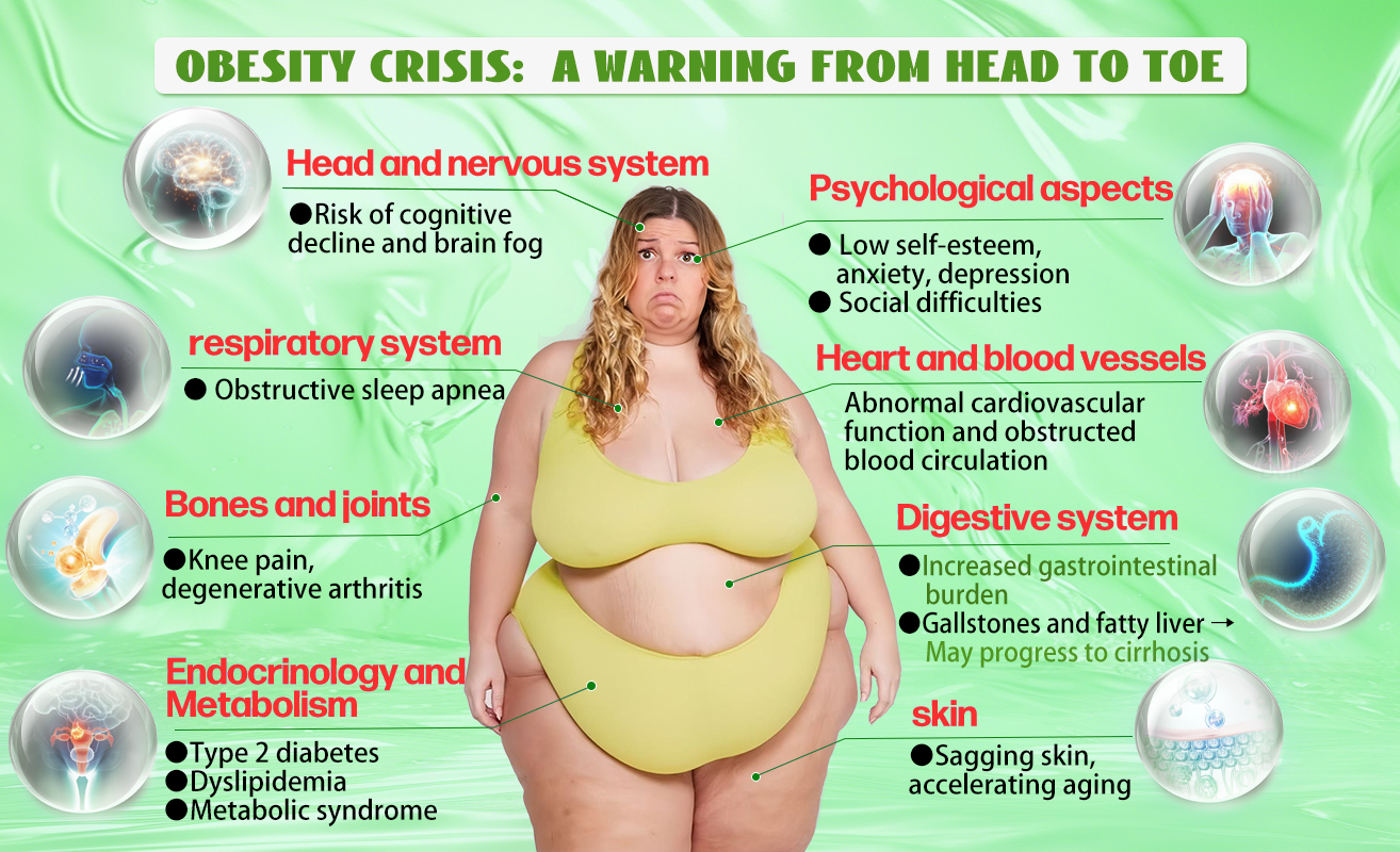 (HHVB®) 🔥 Only 6 boxes left! Get 30% off today! The GLP-1 oral solution helps manage weight and blood sugar, with lasting results in 4–6 boxes. Don’t wait—act fast!